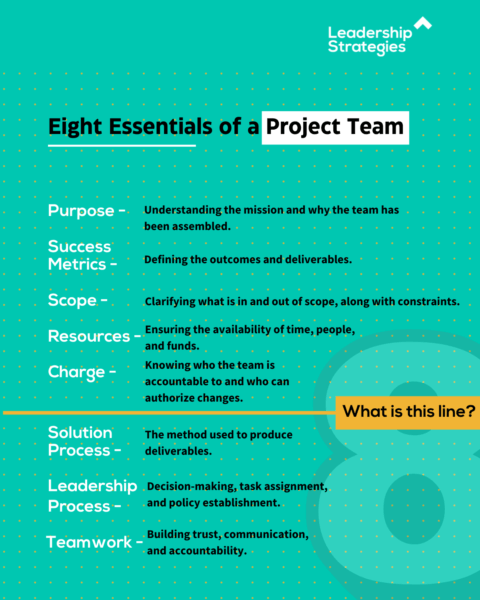 8 essentials of a project team